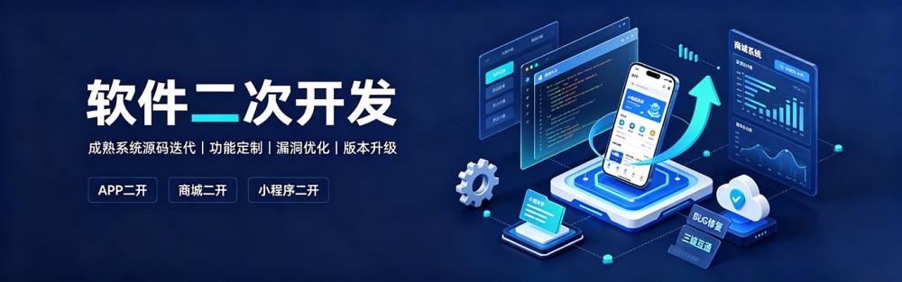 企业软件二次开发
