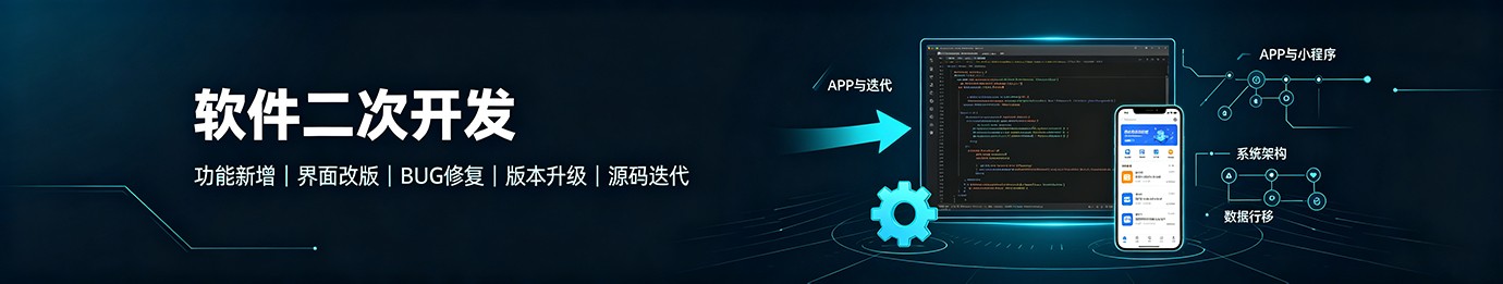 二次开发服务